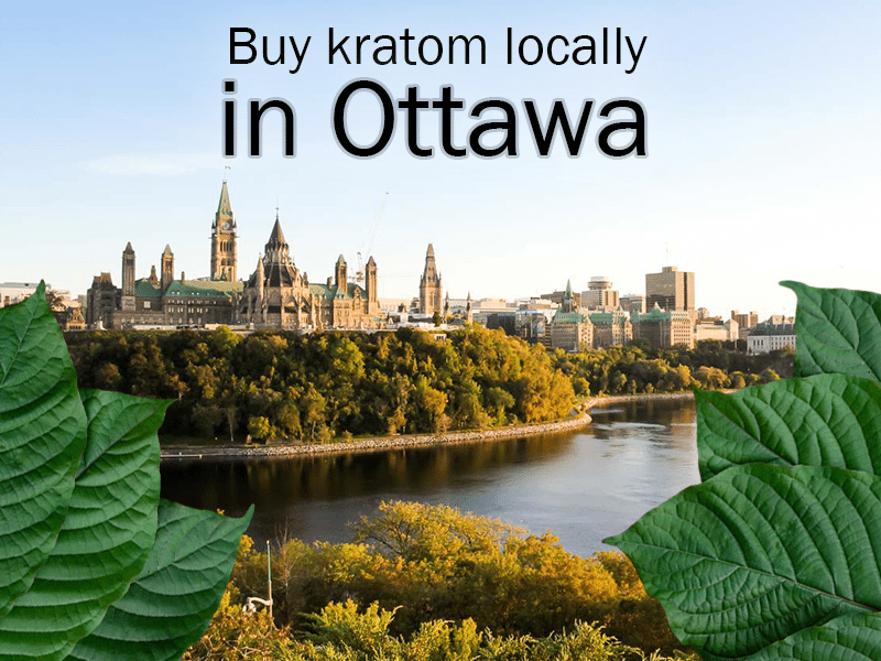 Buy Kratom Locally in Ottawa