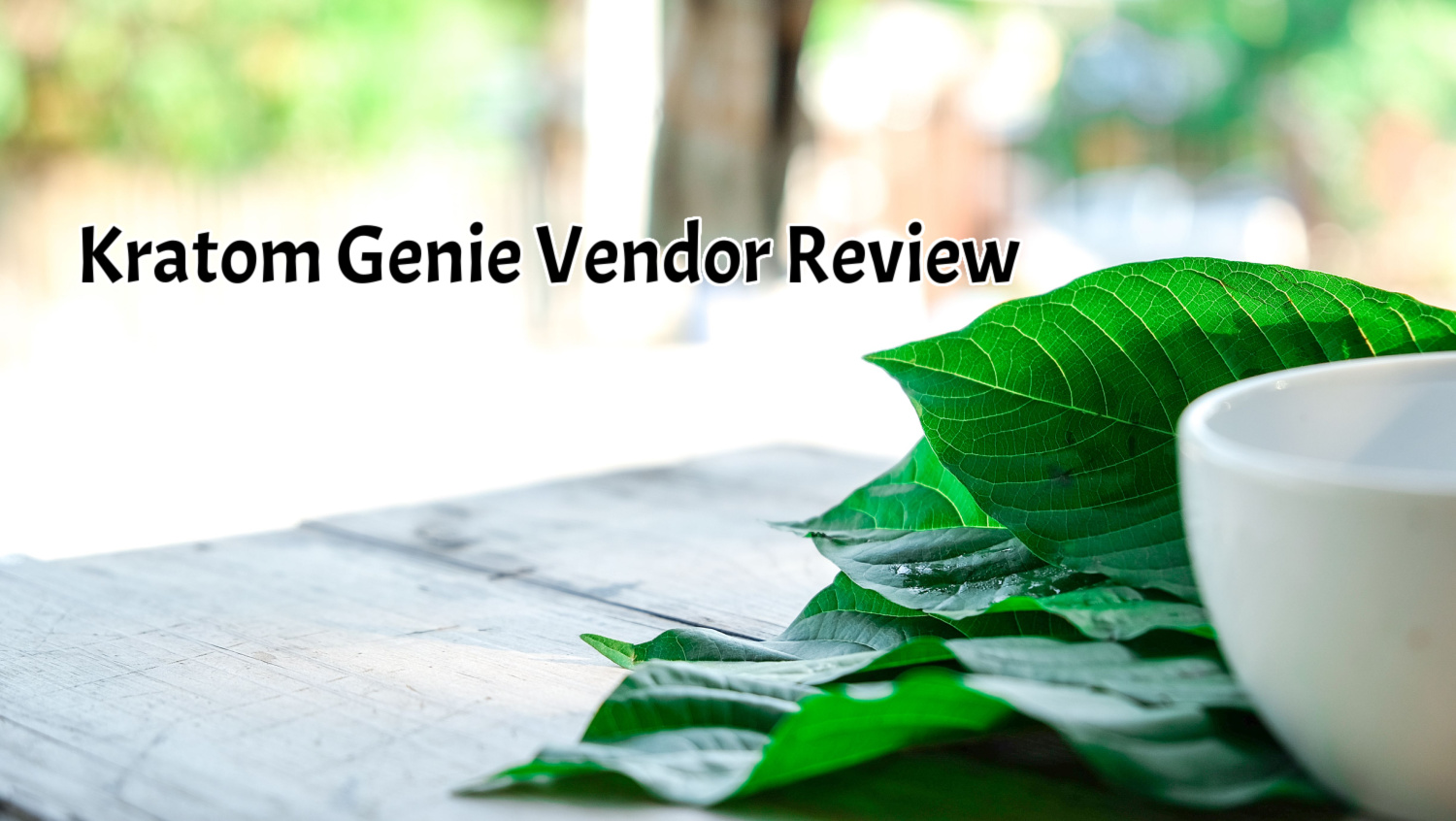 banner of kratom genie vendor review